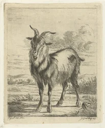 stående geit