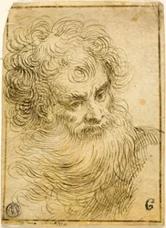 Head of Bearded Old Man (recto); Dekorativ skisse av blomster og blader (verso)