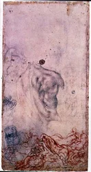 Studie for et portrett av Cosimo I Giovinetto med andre studier av vridende kropper (svart og rødt kritt på papir)