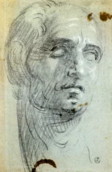 Mannlig hode av Jacopo Robusti kjent som Tintoretto (1518-1594), tegning