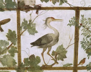 Ibis, fra en freske av en voliere i Villa Medici, ca. 1576-77