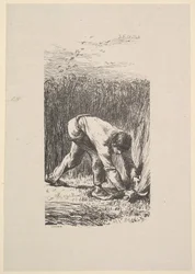 The Reaper, 1853.