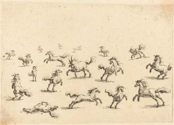 Hester som løper