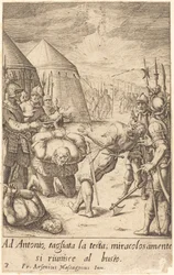 De halshuggede
