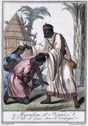 Marabou fra Saint Louis Island, Senegal - i "" Encyclopedia of Travels"" av Grasset Saint Sauveur, red. Paris 1796
