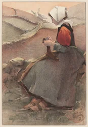 Lyngblomst, 1897.