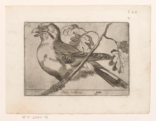 Gaai Gaio (tittel på objekt) Vogels (serietittel)