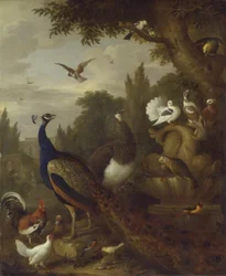 Påfugl, påfuglhøne, papegøyer, kanarifugl og andre fugler i en park, ca. 1708-10