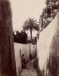 Capri