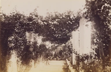 Hage - Capri