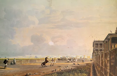 Utsikt over Esplanade Row fra Chouringhee Road, Calcutta, gravert av Robert Havell, pub. 1824