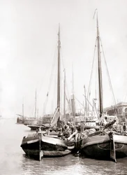 Kanalbåter, Rotterdam, 1898.