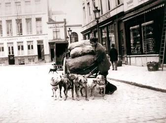 Mann med hundevogn, Antwerpen, 1898