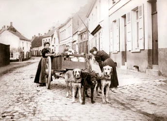 Kvinner og hundevogn, Antwerpen, 1898