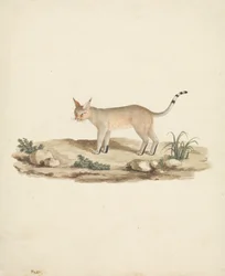 Oppstartet Lynx