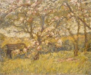 Epleblomst (olje på lerret)