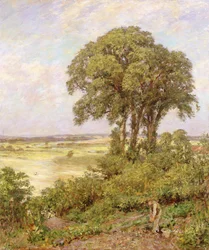Landskap i Sussex