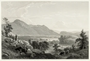 Dover-slettene