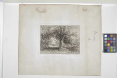 Landskap (etsing, chine collé)
