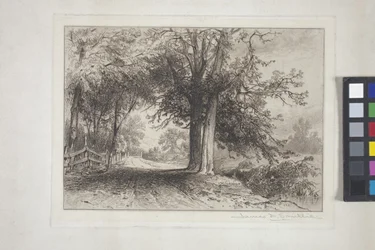Landskap (etsing, chine collé)