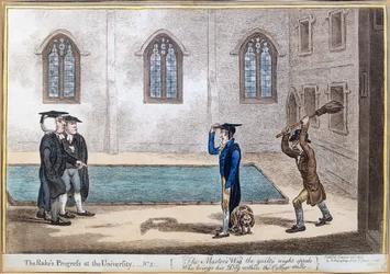 Plate 3 fra 