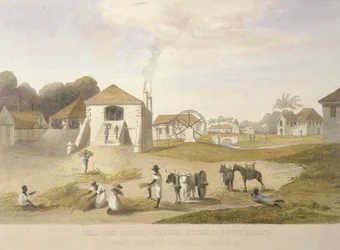 Mill Yard, Holland Estate, St. Thomas i øst