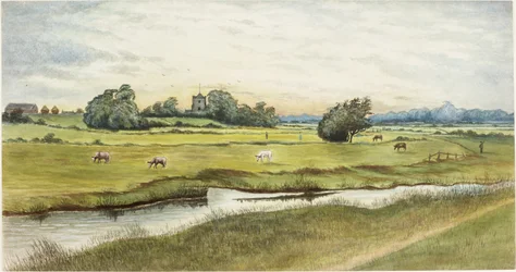 Ryton Meadows (akvarell og kroppsfarge på papir)