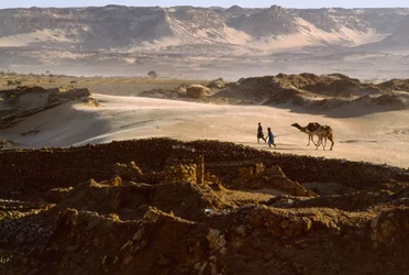 Kamel med saltkaravanemedlemmer krysser et ørkenplatå ved BILMA, NIGER. BILMA, NIGER.