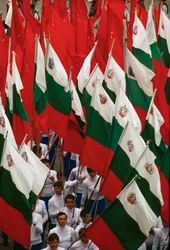 Prosesjon med bulgarske flagg under feiringen av nasjonaldagen. Sofia, Bulgaria.