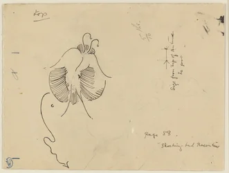 Sommerfugl (rekto); Fragment av sommerfugl (verso)