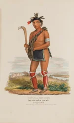 NABU-NAA-KEE-SHICK eller Den ene siden av himmelen, en chippewa-høvding, fra The Aboriginal Portfolio