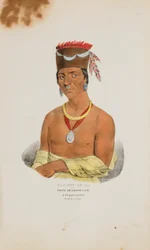 WAA-BIN-DE-BA eller den hvithodede ørnen; en Chippeway-høvding, fra The Aboriginal Portfolio