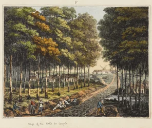 Edge of the Foret de Soignes, fra 