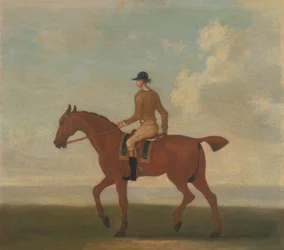 Ett av fire portretter av hester - en kastanje veddeløpshest med Jockey Up: går til venstre; jockey i buff-gul jakke