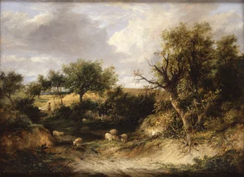 Skoglandskap (olje på lerret)