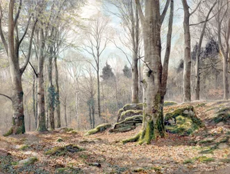 Et walisisk skog (akvarell)