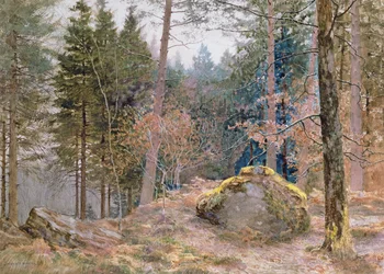 I en walisisk skog, vinter