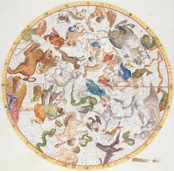 Plate 26 fra 
