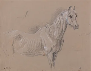 En hoppe: Muligens en studie for «L#39;Amour de Cheval», datert 1827, i Tate Gallery