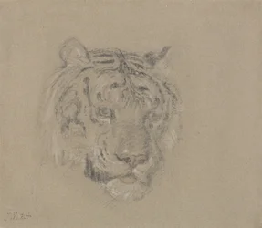 Tigerhode