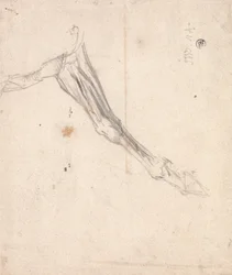 Hestens forbein: Muligens en studie for «L#39;Amour de Cheval», datert 1827, i Tate Gallery