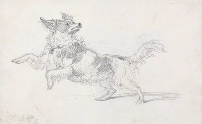 Lady Londonderrys hund