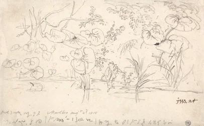Studier av planter, 2. august 1815