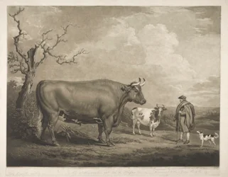 Spottiswoode Ox