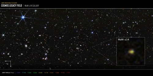 COSMOS-feltet, MoM-z14-galaksen (NIRCam-bilde)