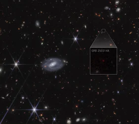 GRB 250314A – Utdrag (NIRCam-bilde)