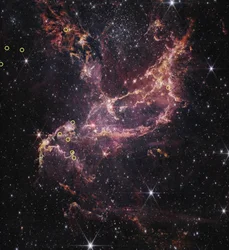 Protoplanetariske skiver i NGC 346 (NIRCam-bilde)