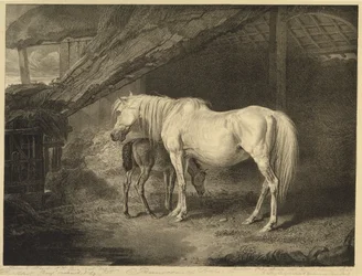 Primrose and Foal, fra Celebrated Horses, et sett med fjorten racingtrykk utgitt av kunstneren, 1823-24