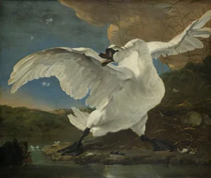 Den truede svanen, ca. 1650