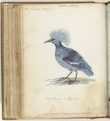 Crowned Pigeon   1372399   no       norwegian Successfully Translated  Original: Rivierlandschap met een hooiberg Translat: Rivierlandschap met een hooiberg 1372970 no norwegian Successfully Translated Original: Design for the new Royal Exchange, 1839. Tra